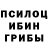 Псилоцибиновые грибы Cubensis Jonas Lebrun