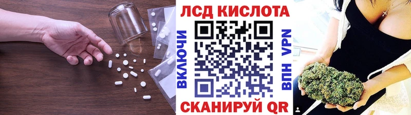 omg как войти  Сосновка  ЛСД экстази ecstasy  где продают  