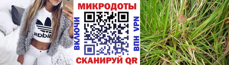 купить наркоту кракен ссылки Галлюциногенные грибы ЛСД Сосновка